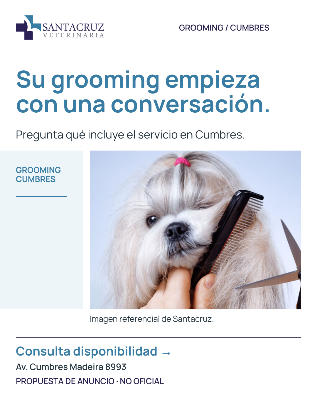 Propuesta de anuncio no oficial para Santacruz. Reutiliza el arte del primer post de muestra con etiqueta de anuncio. La campaña no está activa.